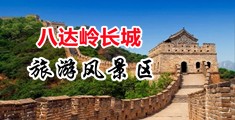 大自慰逼水喷出网站中国北京-八达岭长城旅游风景区